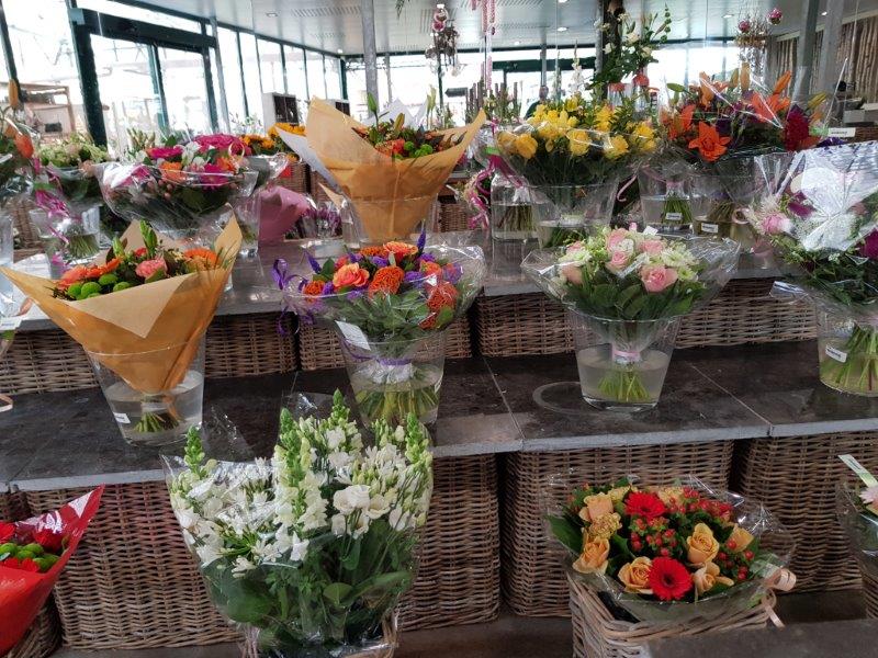 Bloemen | Tuincentrum Kennes in Lier