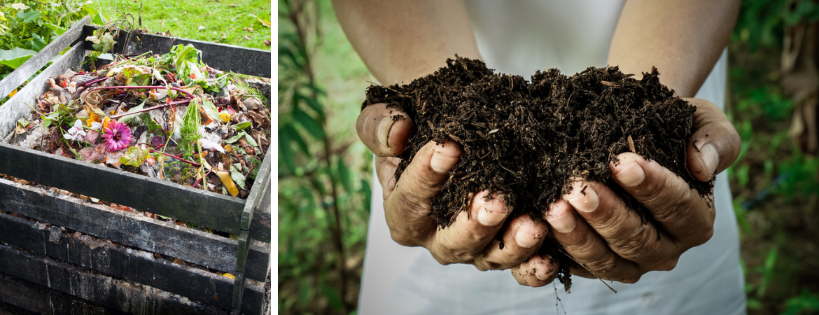 Compost Kopen Tuincentrum Kennes