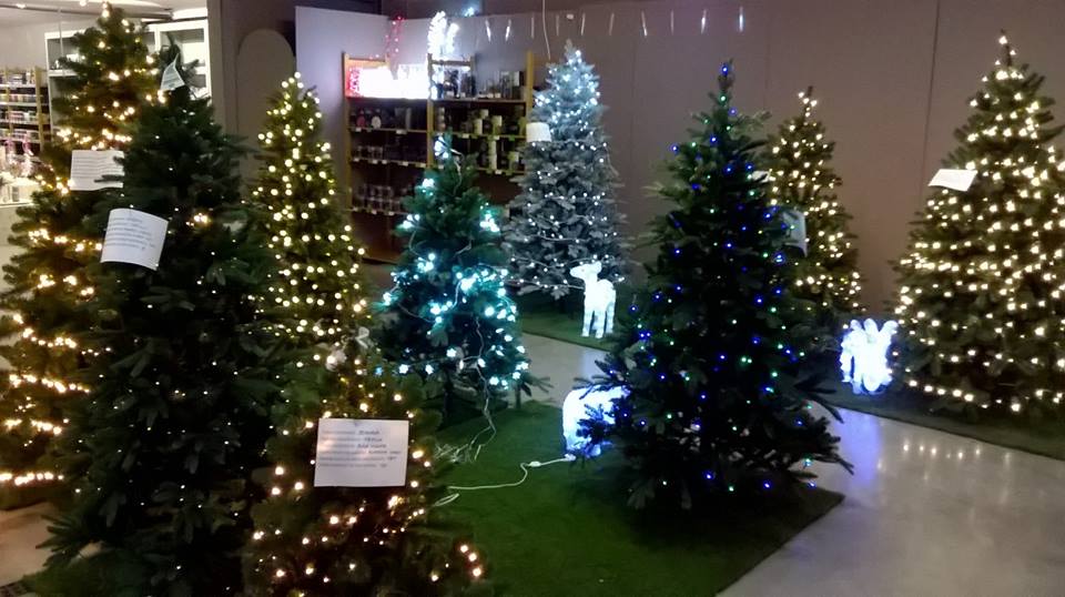 Kerstboom kopen in Lier Kerstboom kopen in Lier