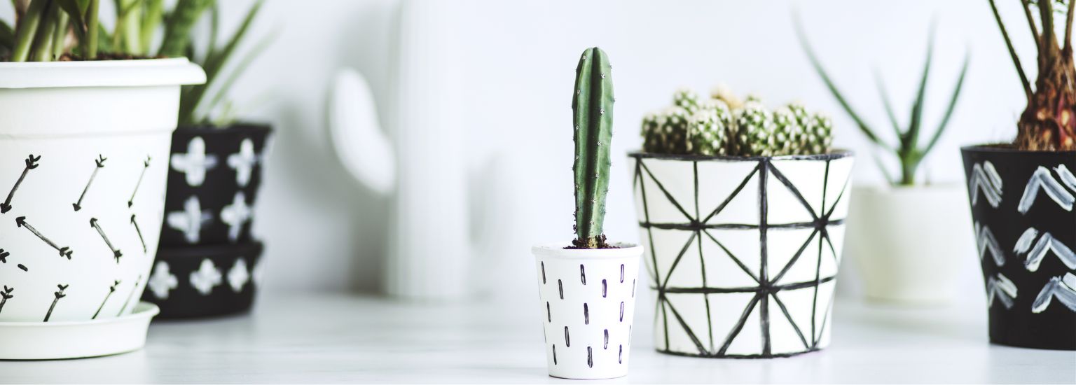 Bloempotten, plantenbakken, vazen en veel meer potterie