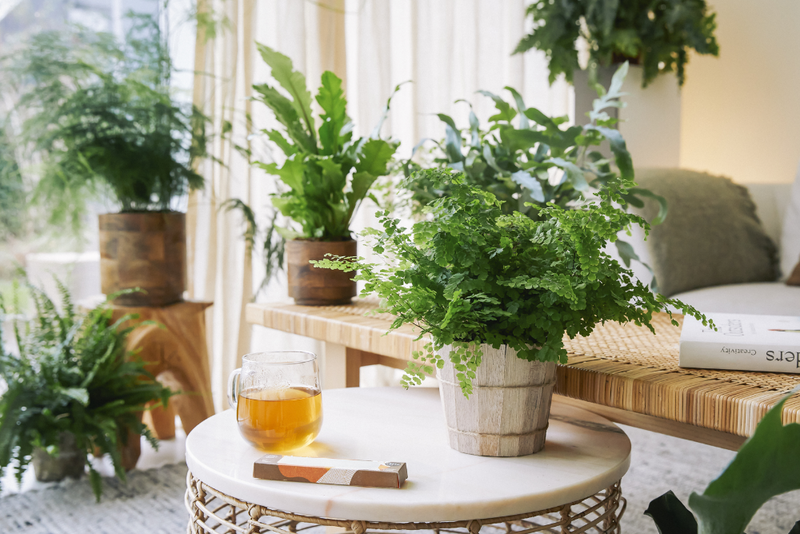 Dag kerstboom, hallo... Winterdip? Nee! Zo behoud je de gezelligheid