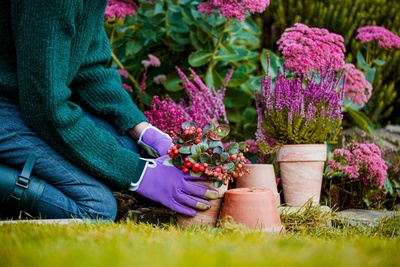 Herfst = planttijd! Waarom nu planten verrassend duurzaam is