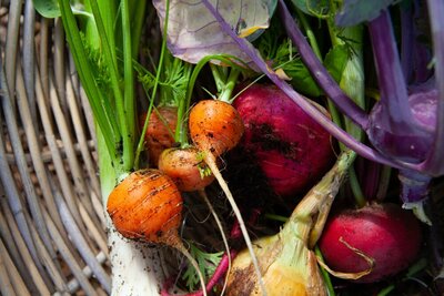 Moestuin in november