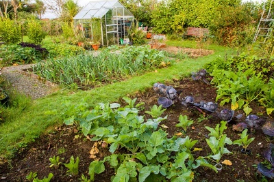 Moestuinieren in april