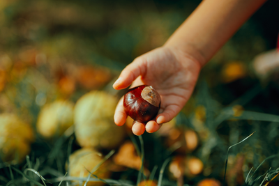 Waarom kinderen meer leren van een herfsttuin dan van een klaslokaal