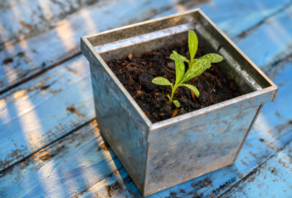 Zink potterie Tuincentrum Kennes