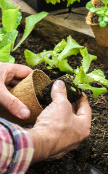 Tuin benodigdheden online bestellen | Tuincentrum Kennes